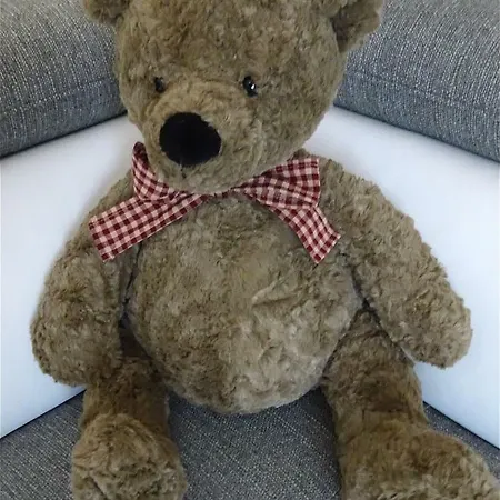 L'ourson Кольмар
